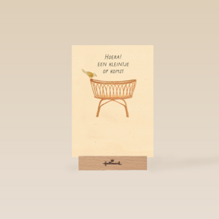 Zwangerschap felicitatie wieg met vogel