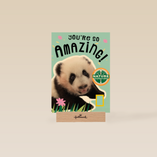 verjaardag kaart pandabeer