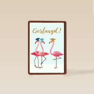Flamingo geslaagd