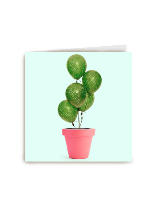 plant met ballonnen