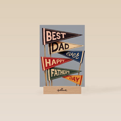 Best dad ever happy fathers day flags