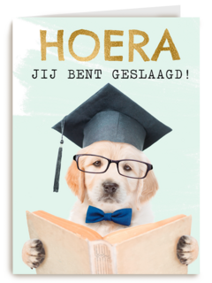 Hoera geslaagd slimme hond