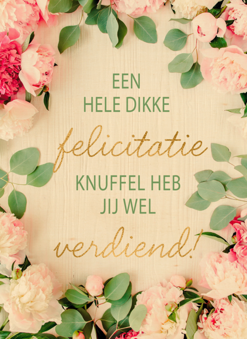 gefeliciteerd kaart felicitatieknuffel heb jij wel verdiend