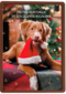 Kerstkaart klassiek Hond met kerstmuts