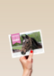 amuseer je op paardenkamp