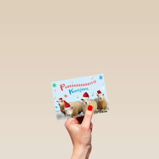 schapen prettig kerstfeest