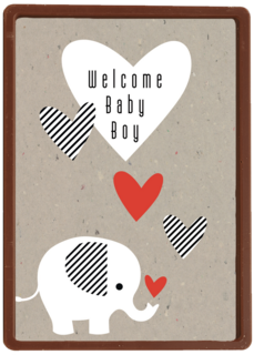 elephant welcome baby boy