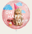 Ballon Cat Oh Happy Day Multi