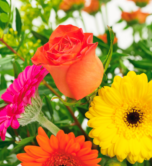 Boeket Bloemen Bonte Sparkel