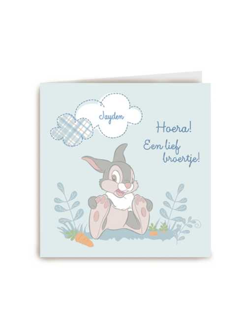 disney baby hoera een lief broertje