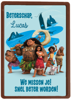 Disney Vaiana 2 Beterschap