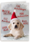 kerstpuppy met muts
