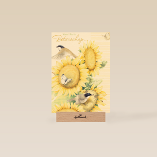 zonnebloemen met mus beterschap