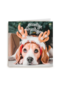 Kerstkaart klassiek hond met gewei