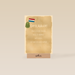 geslaagd kaart volg je dromen nederlandse vlag
