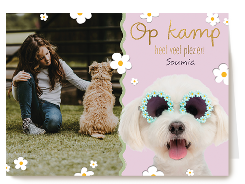 Op kamp heel veel plezier roze hond fotokaart