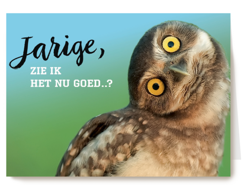 animal fiesta jarige zie ik het nu goed