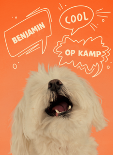 Hond cool op kamp oranje