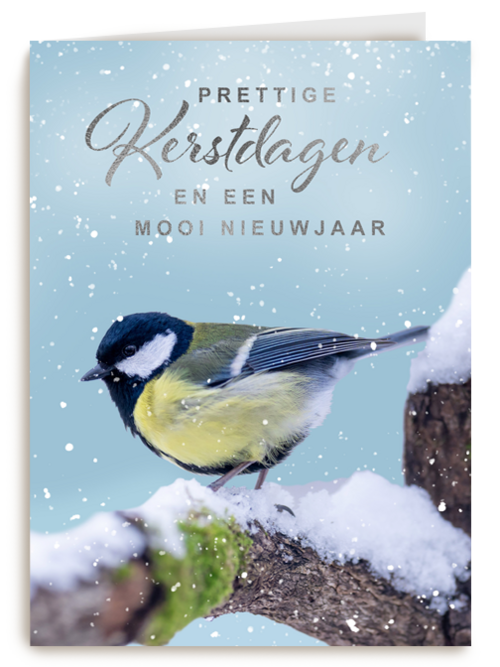 Kerstkaart vogel op tak winter