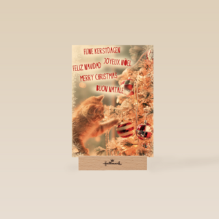 meertalig kat en kerstboom