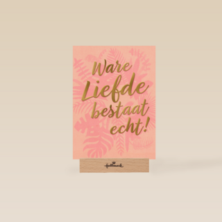 ware liefde bestaat echt