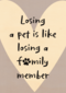 oosing pet like loosing familyl