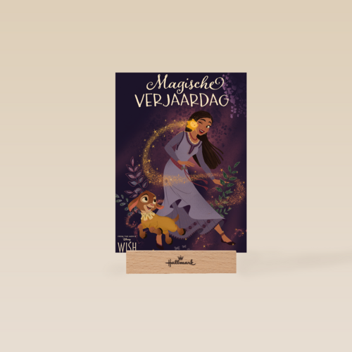 Verjaardagskaart wish disney