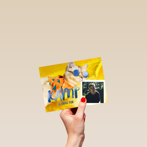 Kamp is dikke fun fotokaart kat