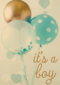 prodo its a boy