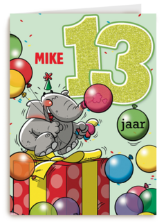verjaardag leeftijden lorenzo de bruin 13