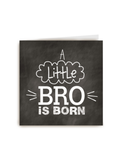 a little bro is born