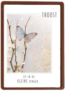 kerst troost zit in de kleine dingen