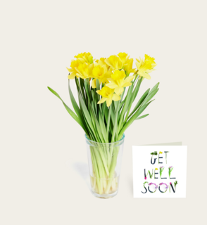 Brievenbus Boeket Narcis