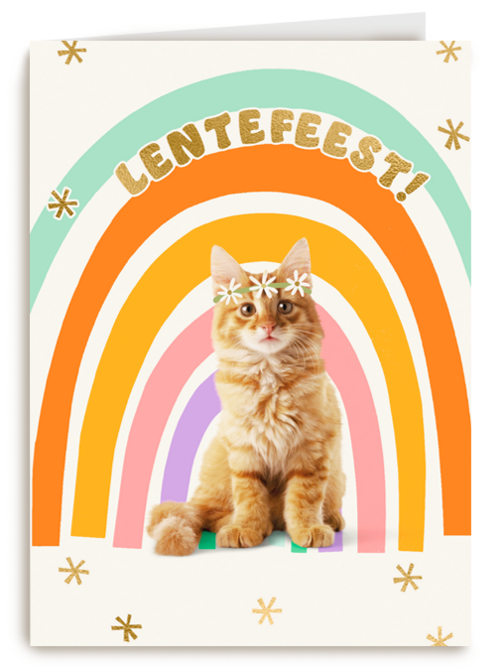 Regenboog Kat Lentefeest