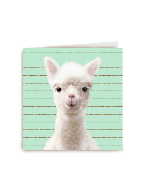 Blanco kaart alpaca