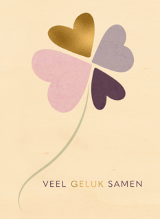 Love Story Veel Geluk Samen