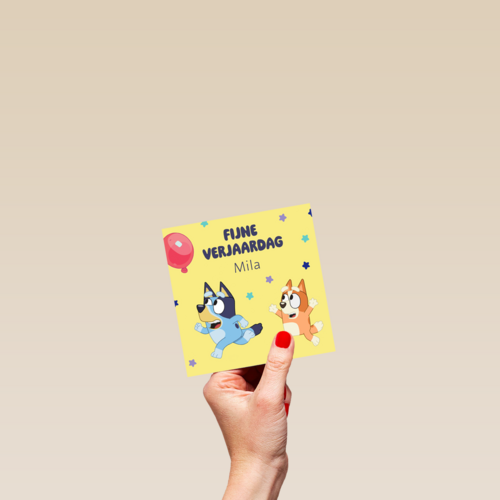Bluey Bingo Fijne Verjaardag