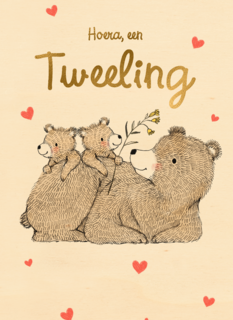 Tweeling geboortefelicitatie 2 lieve beertjes