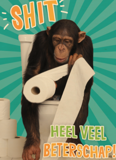 Beterschapskaart Grappig Shit heel veel beterschap