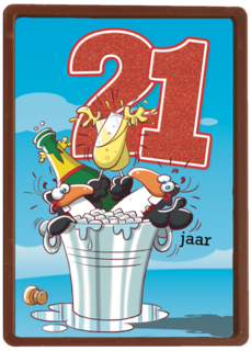 verjaardag leeftijden lorenzo de bruin 21