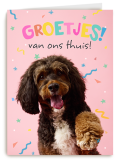 Op Kamp groetjes van thuis hond roze