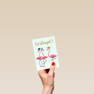 Flamingo geslaagd