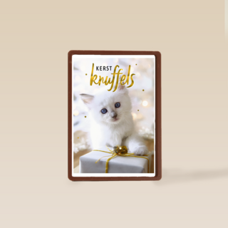 kerstknuffel van een kitten