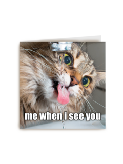 Valentijnskaart grappig Me when I see you