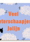 Beterschap Veel Beterschaapjes