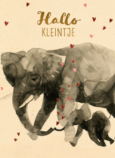Geboortefelicitatie olifant hallo kleintje