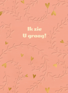 valentijnskaart ik zie u graag op roze