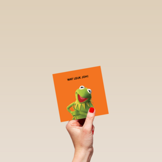 Wat leuk joh The Muppets