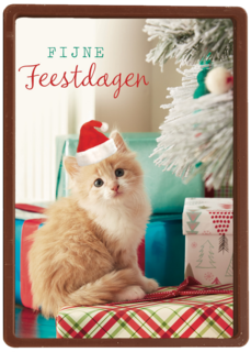 kerstkaart fijne feestdagen feest