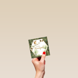 Kerstkaart marjolein bastin vogel
